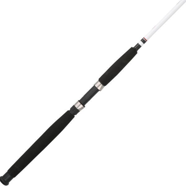 Lightweight Spinning Fishing Rod Durable Fishing Pole for Freshwater Fishing and General Outdoor Angling