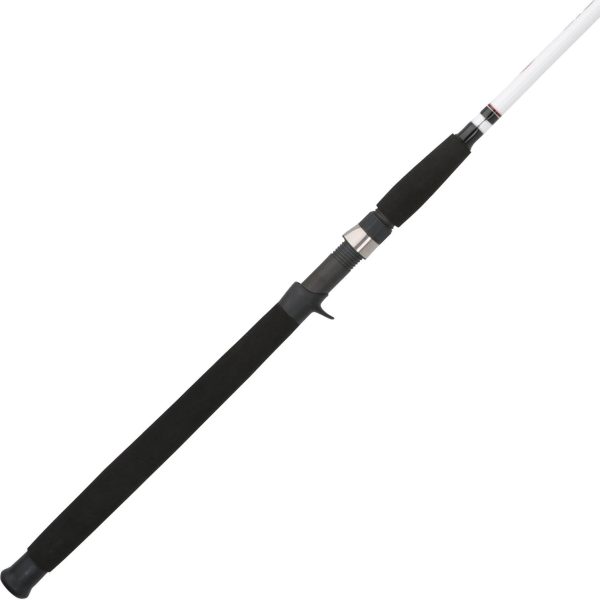 Durable Casting Fishing Rod with Comfortable Handle for Lure and Bait Fishing