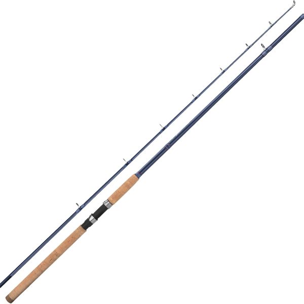 Dual-Purpose Fishing Rod for Spinning and Conventional Reel Setups