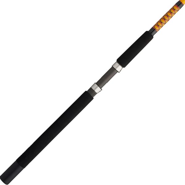 Saltwater Lure and Spinning Fishing Rod for Coastal and Offshore Use